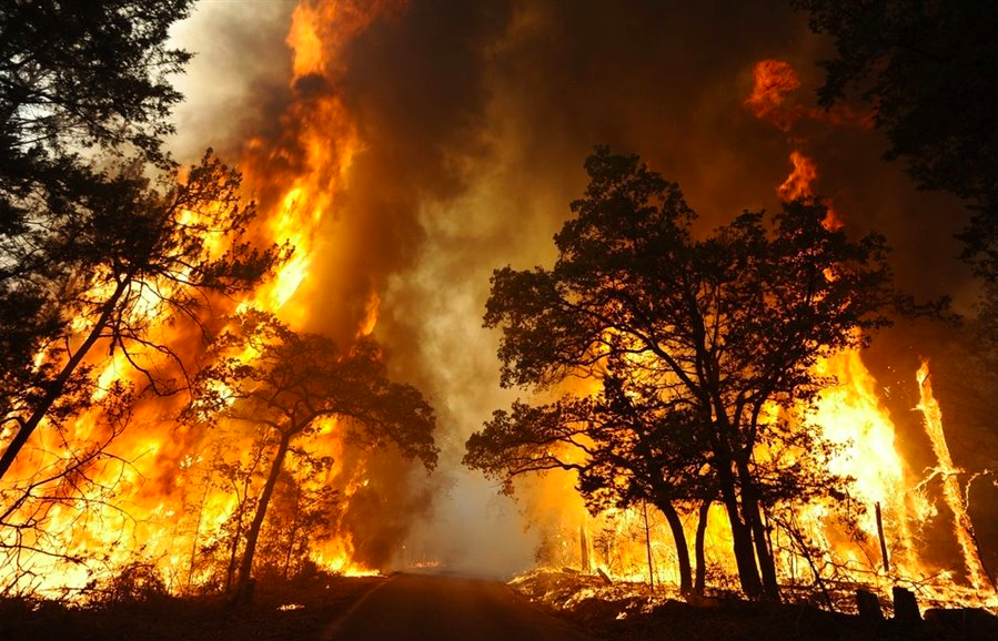 A Different Type of Alarm System-Bushfire Alarms